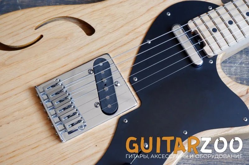 Schecter PS-S-PT-TH Telecaster — фото 2