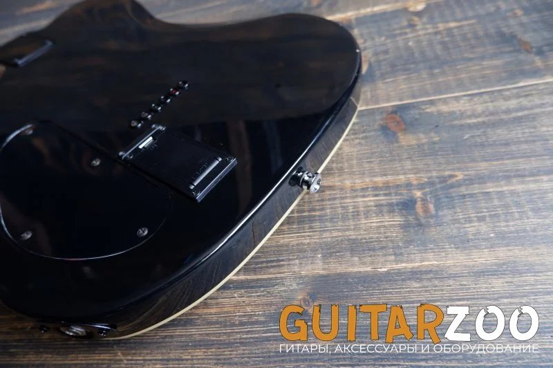 Ryabovol Telecaster BLK H-H — фото 13