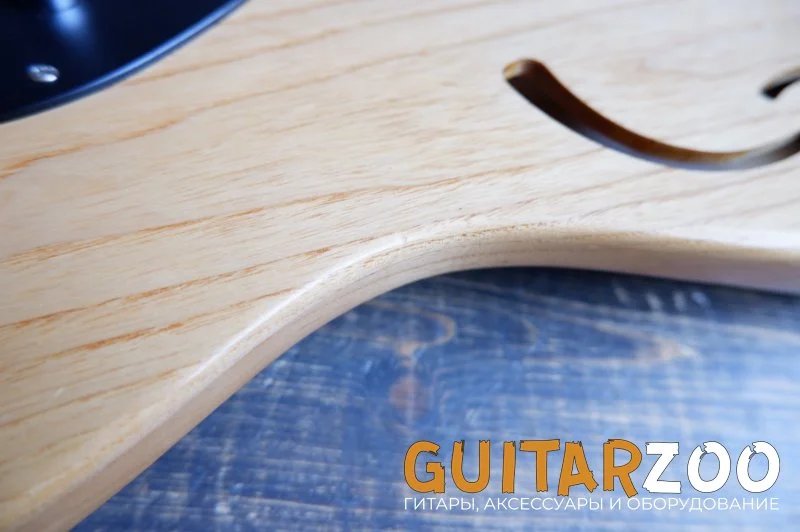 Schecter PS-S-PT-TH Telecaster — фото 13